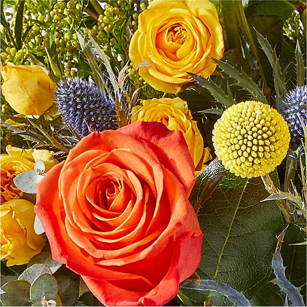 Disco Bouquet –  Our Flower Shop, Gibsonton FL