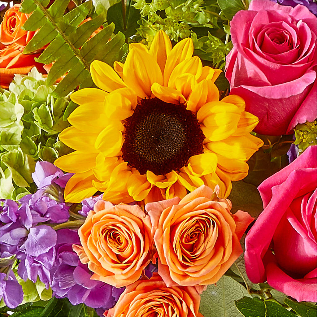 Vibrant Greetings Bouquet –  Our Flower Shop, Gibsonton FL