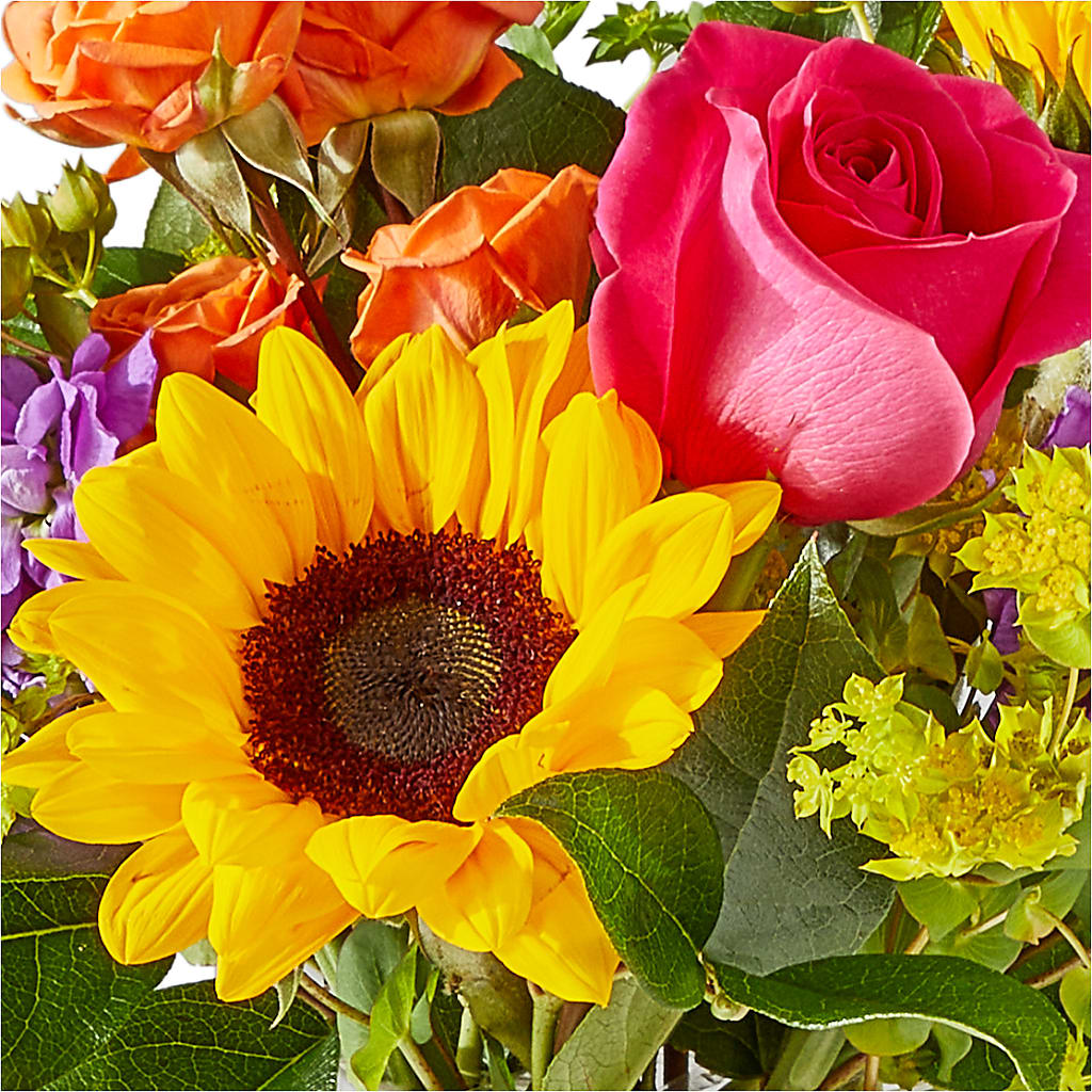 Vibrant Greetings Bouquet –  Our Flower Shop, Gibsonton FL