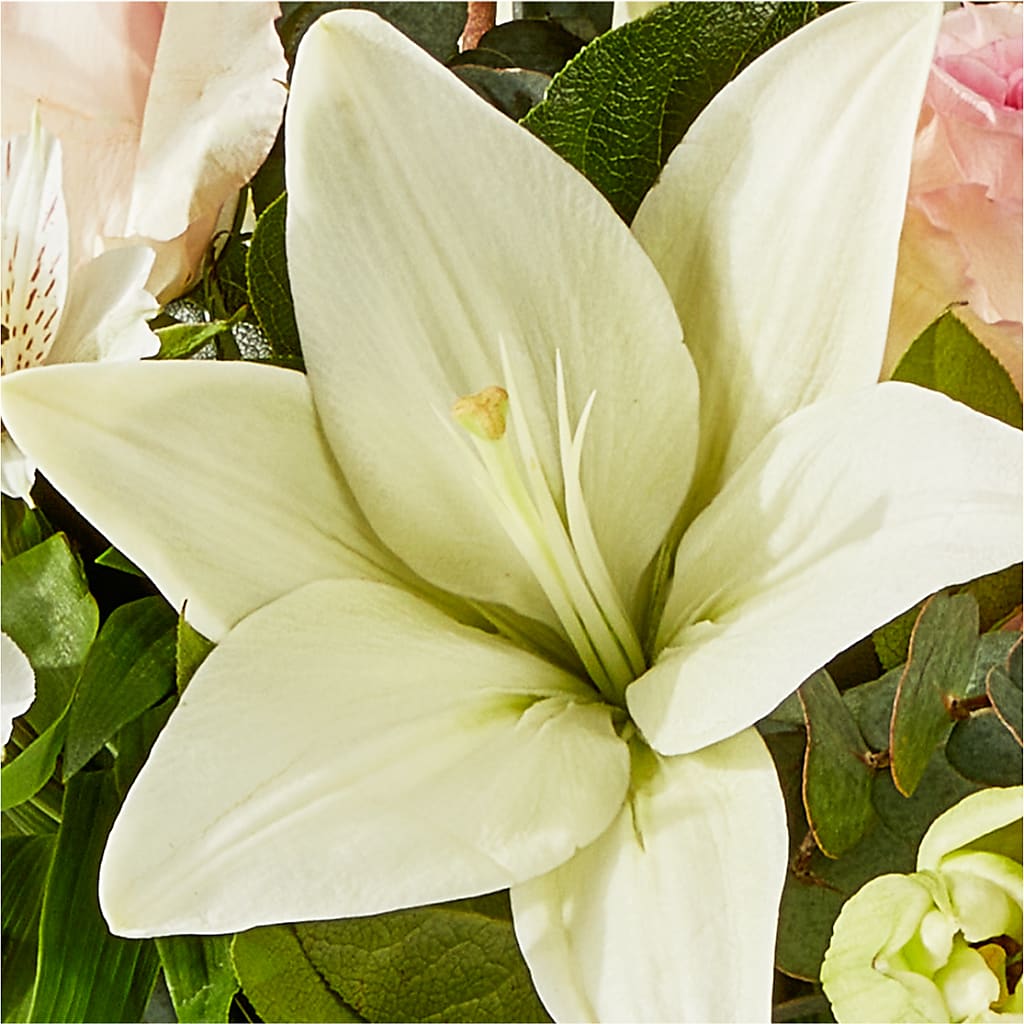 Ballet Slippers Bouquet –  Our Flower Shop, Gibsonton FL