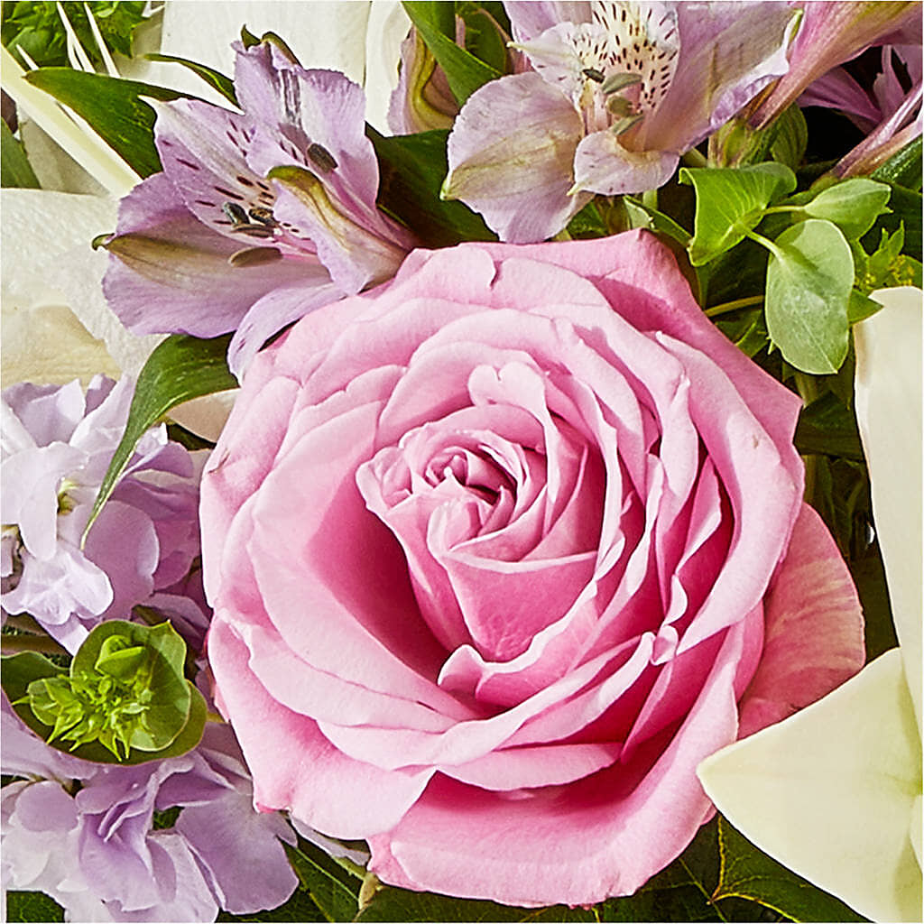 Daydreamer Bouquet –  Our Flower Shop, Gibsonton FL