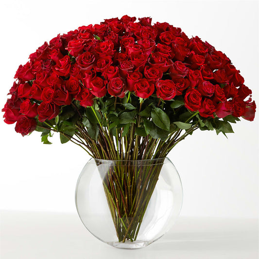 The Idealist –  Our Flower Shop, Gibsonton FL