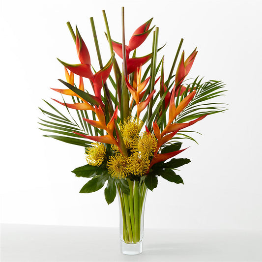 The Drama –  Our Flower Shop, Gibsonton FL