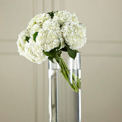 White Hydrangea Hand-Tied Bouquet –  Our Flower Shop, Gibsonton FL