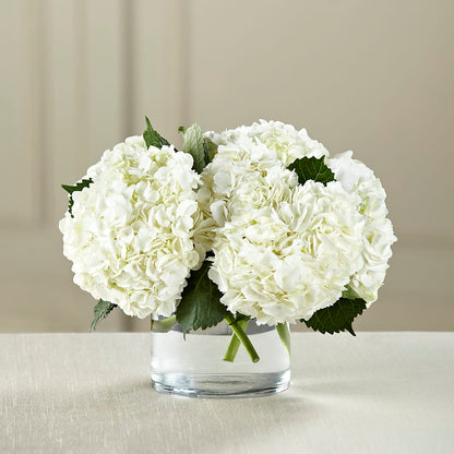 White Hydrangea Bouquet –  Our Flower Shop, Gibsonton FL